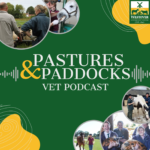 Vet Podcast Cover